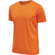 ORANGE TIGER